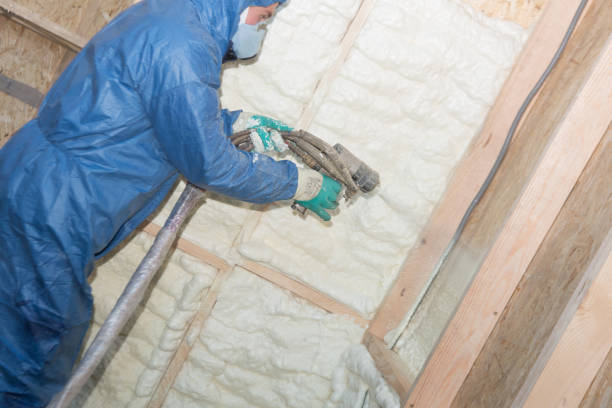 Trusted Satsuma, AL Insulation Installation & Removal Experts